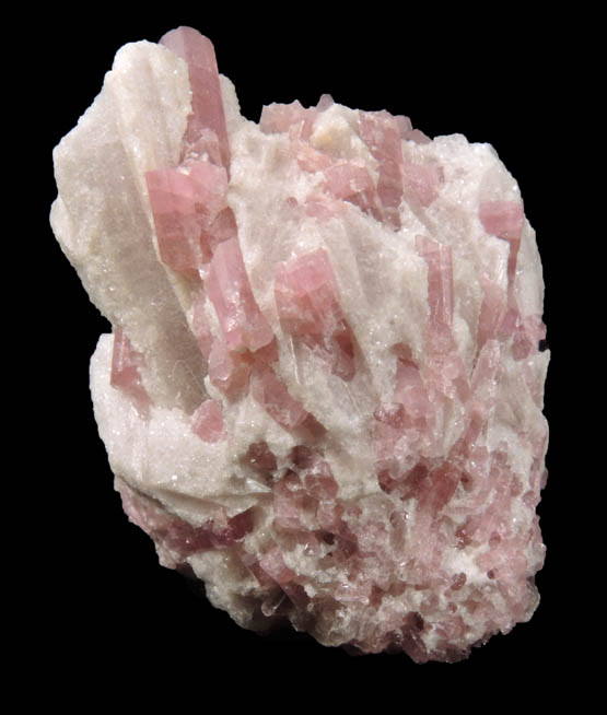 Elbaite var. Rubellite Tourmaline in Lepidolite from Stewart Mine, Pala District, San Diego County, California