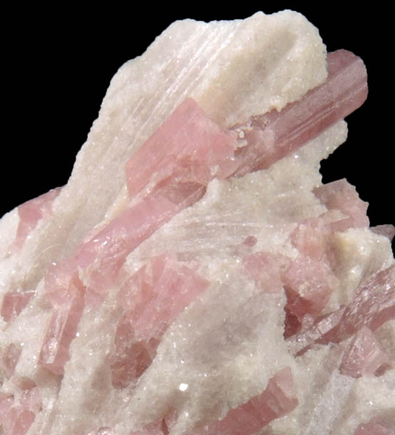 Elbaite var. Rubellite Tourmaline in Lepidolite from Stewart Mine, Pala District, San Diego County, California