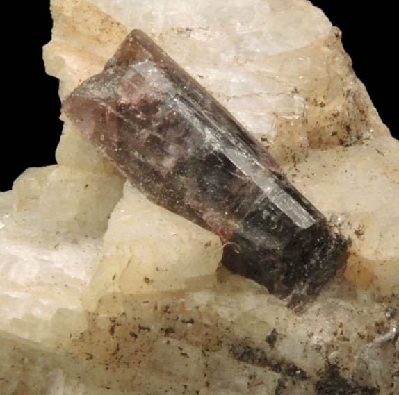 Elbaite Tourmaline in Albite var. Cleavelandite from Clark's Ledge, Chesterfield, Hampshire County, Massachusetts (Type Locality for Cleavelandite)
