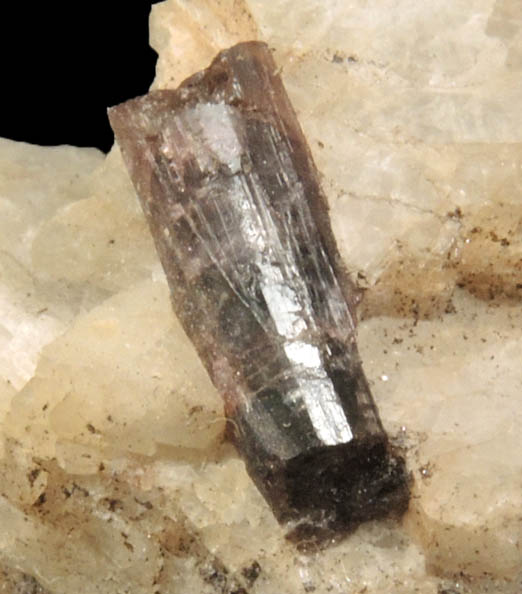 Elbaite Tourmaline in Albite var. Cleavelandite from Clark's Ledge, Chesterfield, Hampshire County, Massachusetts (Type Locality for Cleavelandite)