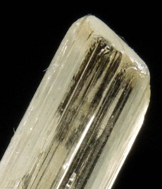 Marialite from Santa Maria do Jetib, Esprito Santo, Brazil