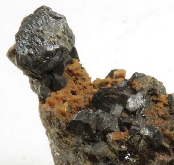 Sphalerite on Andradite Garnet from Franklin District, Sussex County, New Jersey