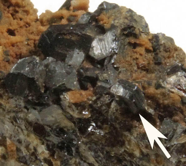 Sphalerite on Andradite Garnet from Franklin District, Sussex County, New Jersey