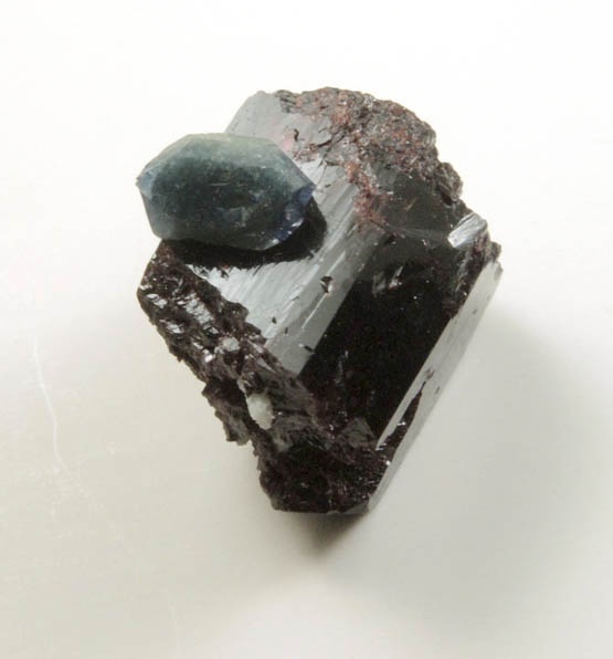 Benitoite on Neptunite from Benitoite Gem Mine, New Idria District, San Benito County, California (Type Locality for Benitoite)