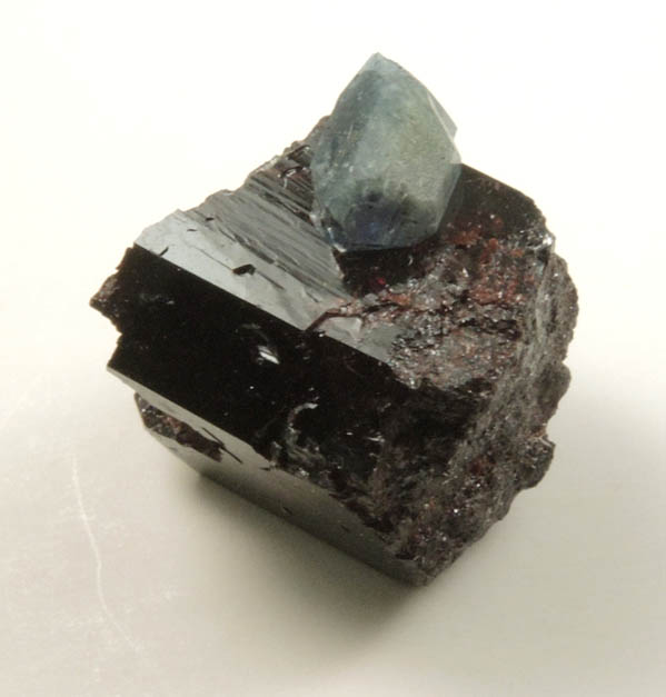 Benitoite on Neptunite from Benitoite Gem Mine, New Idria District, San Benito County, California (Type Locality for Benitoite)