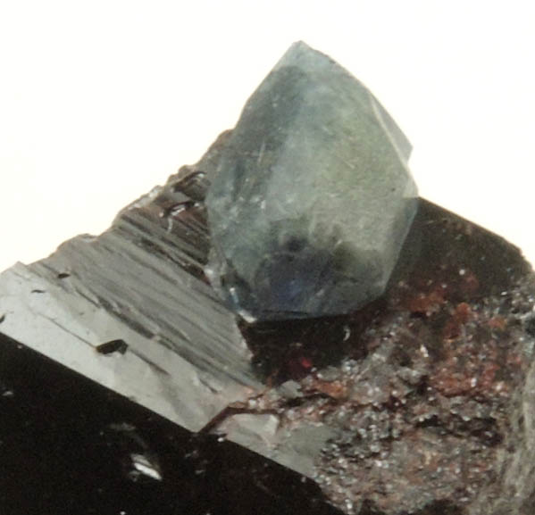 Benitoite on Neptunite from Benitoite Gem Mine, New Idria District, San Benito County, California (Type Locality for Benitoite)