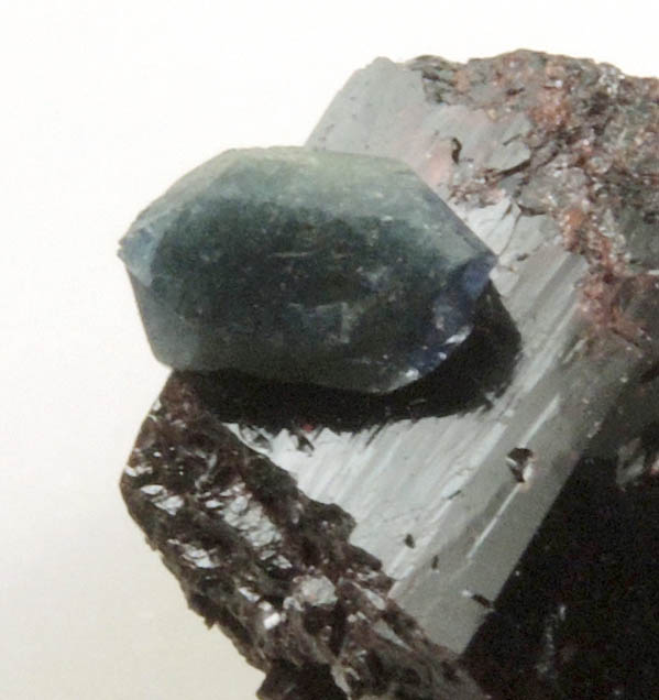 Benitoite on Neptunite from Benitoite Gem Mine, New Idria District, San Benito County, California (Type Locality for Benitoite)