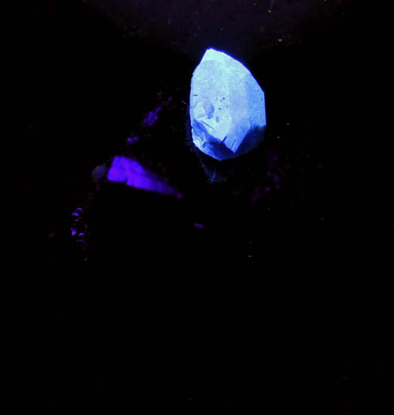 Benitoite on Neptunite from Benitoite Gem Mine, New Idria District, San Benito County, California (Type Locality for Benitoite)