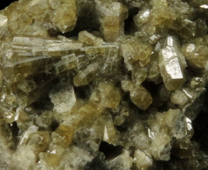 Vesuvianite with Scheelite from near the Blue Bird Mine, Mineral County, Nevada