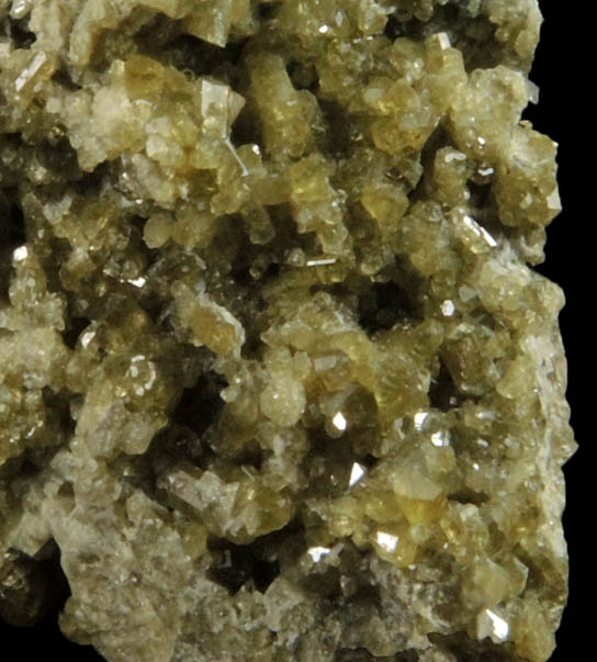 Vesuvianite with Scheelite from near the Blue Bird Mine, Mineral County, Nevada