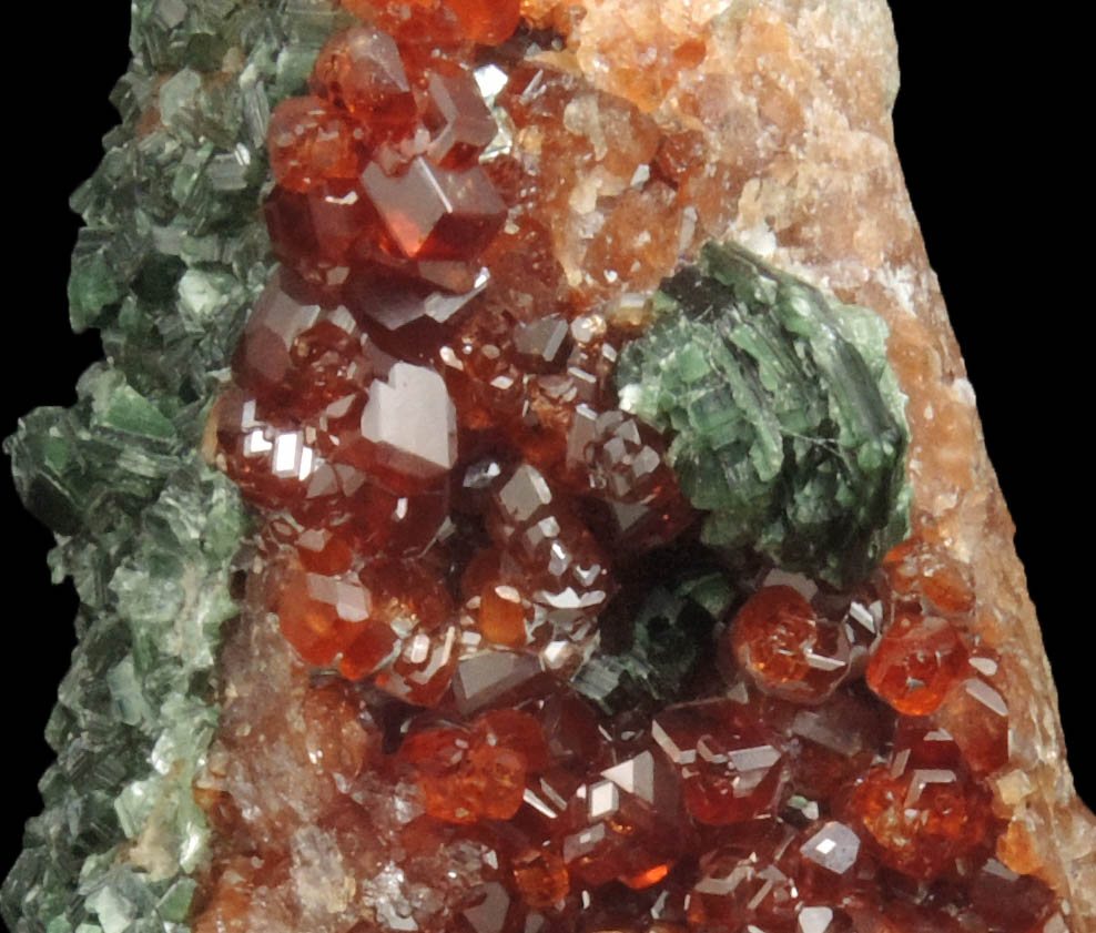 Andradite Garnet with Clinochlore from Val di Susa, Torino, Piemonte, Italy