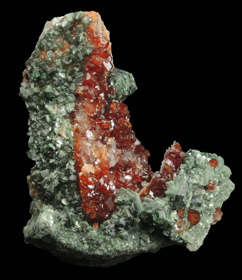 Andradite Garnet with Clinochlore from Val di Susa, Torino, Piemonte, Italy