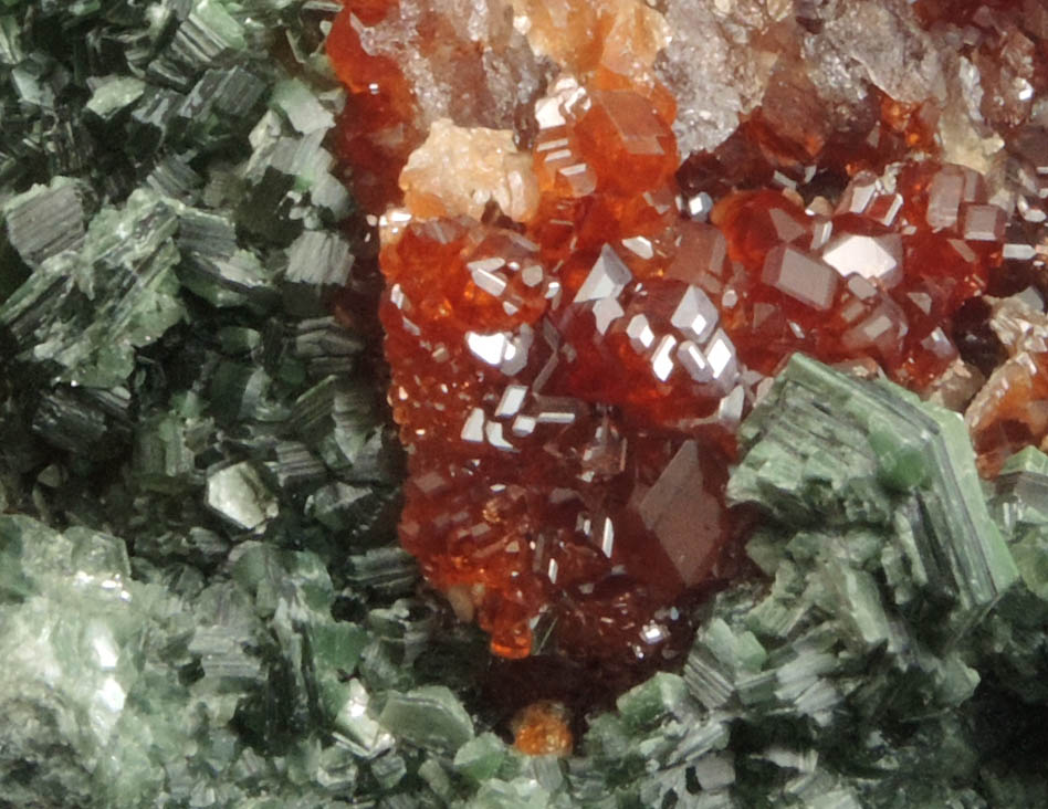 Andradite Garnet with Clinochlore from Val di Susa, Torino, Piemonte, Italy