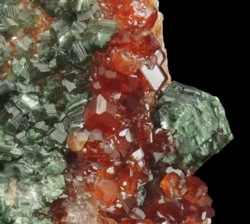 Andradite Garnet with Clinochlore from Val di Susa, Torino, Piemonte, Italy