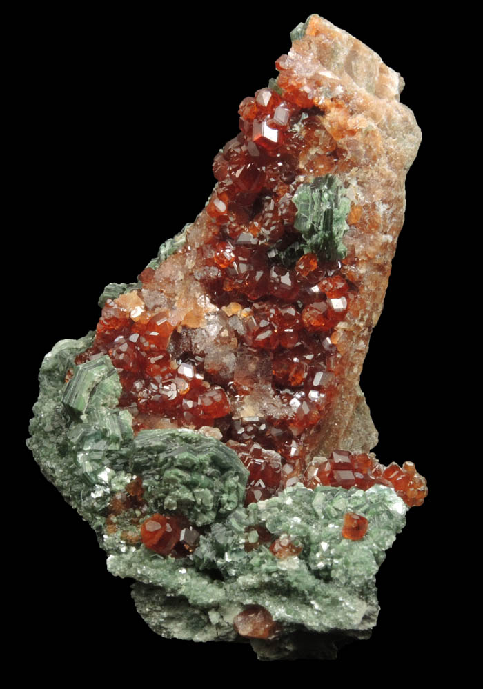 Andradite Garnet with Clinochlore from Val di Susa, Torino, Piemonte, Italy