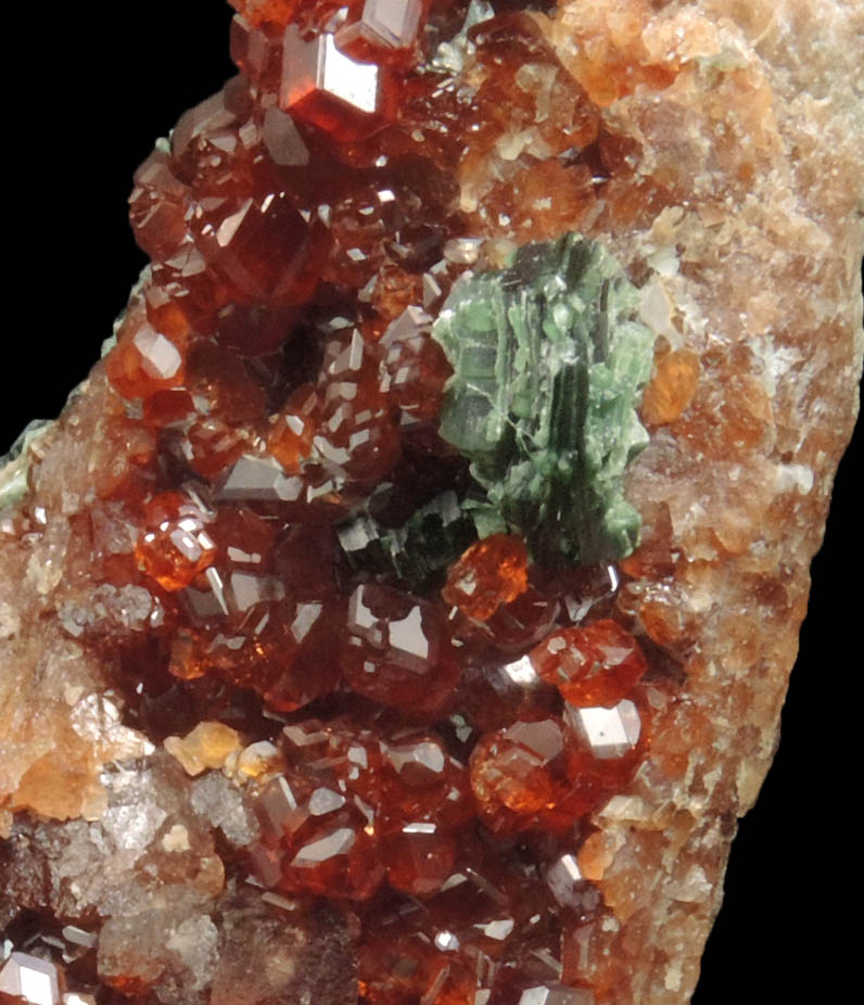 Andradite Garnet with Clinochlore from Val di Susa, Torino, Piemonte, Italy