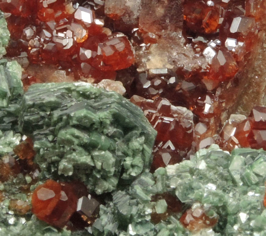 Andradite Garnet with Clinochlore from Val di Susa, Torino, Piemonte, Italy