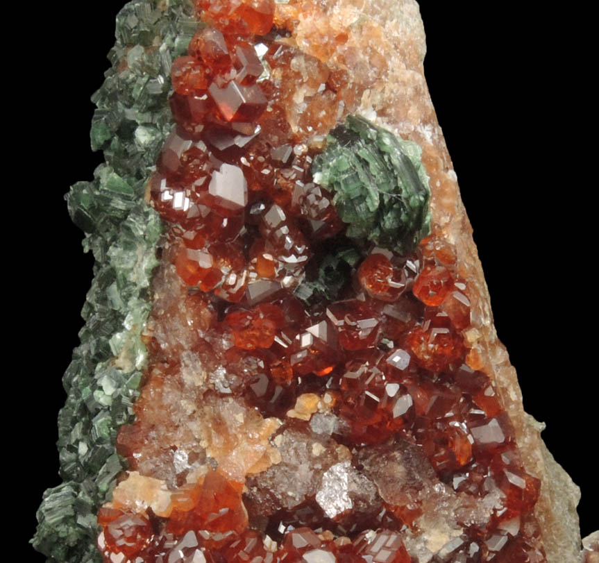 Andradite Garnet with Clinochlore from Val di Susa, Torino, Piemonte, Italy