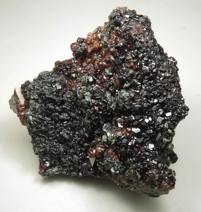 Andradite Garnet with Clinochlore from Val di Susa, Torino, Piemonte, Italy