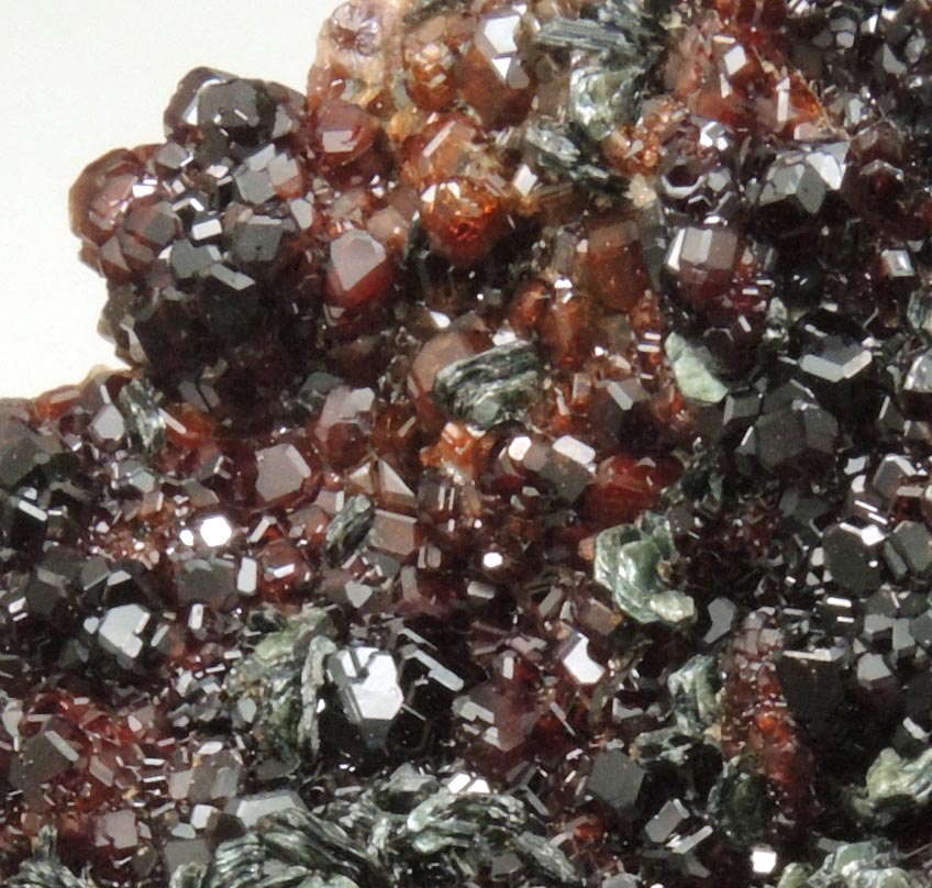 Andradite Garnet with Clinochlore from Val di Susa, Torino, Piemonte, Italy