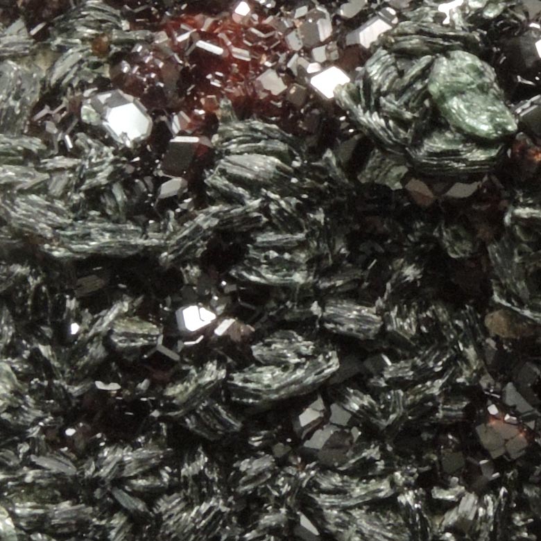 Andradite Garnet with Clinochlore from Val di Susa, Torino, Piemonte, Italy