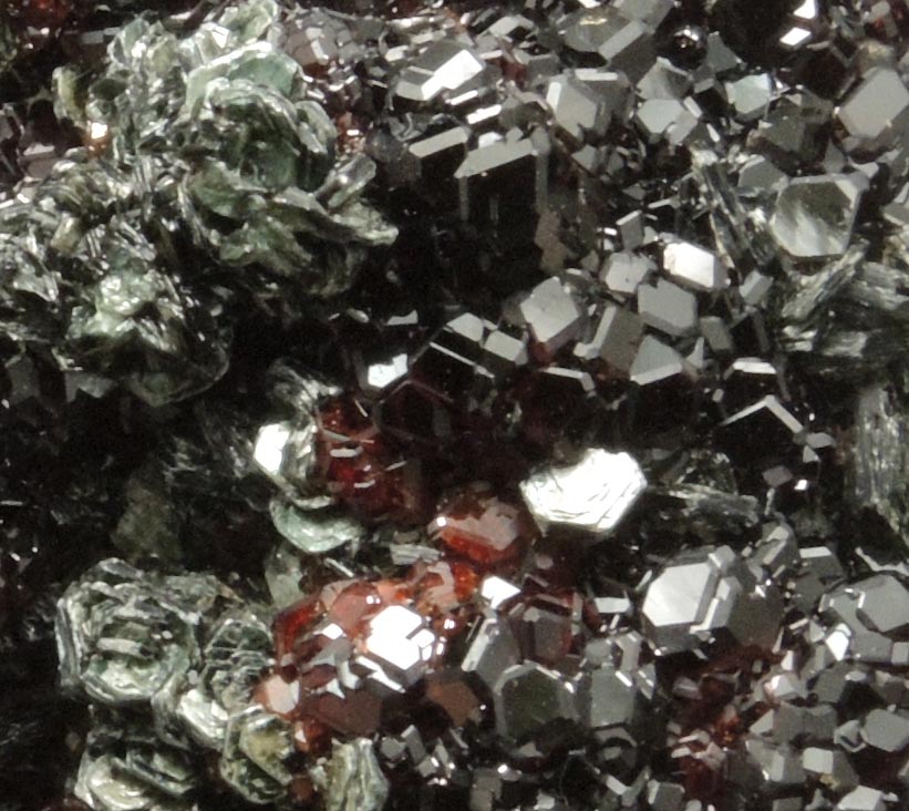 Andradite Garnet with Clinochlore from Val di Susa, Torino, Piemonte, Italy