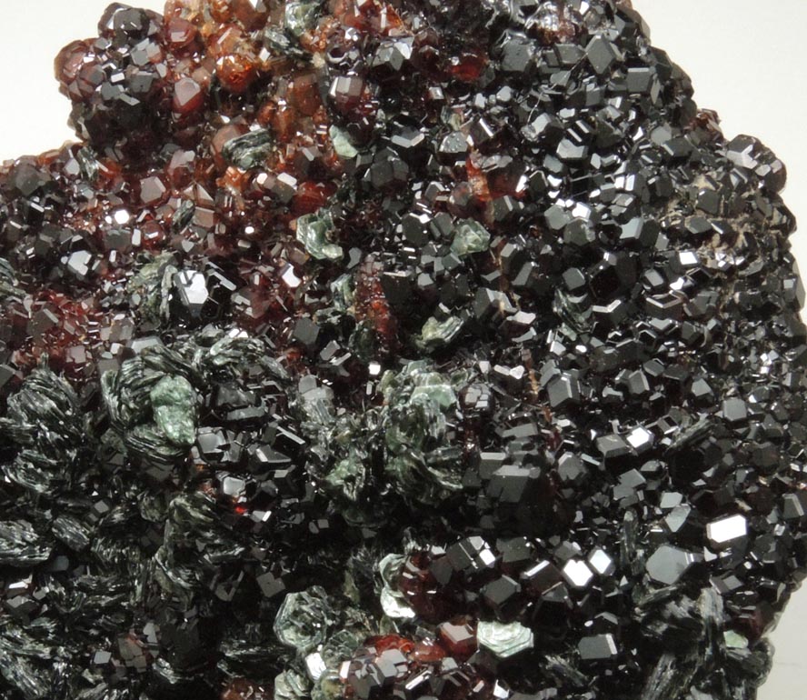 Andradite Garnet with Clinochlore from Val di Susa, Torino, Piemonte, Italy