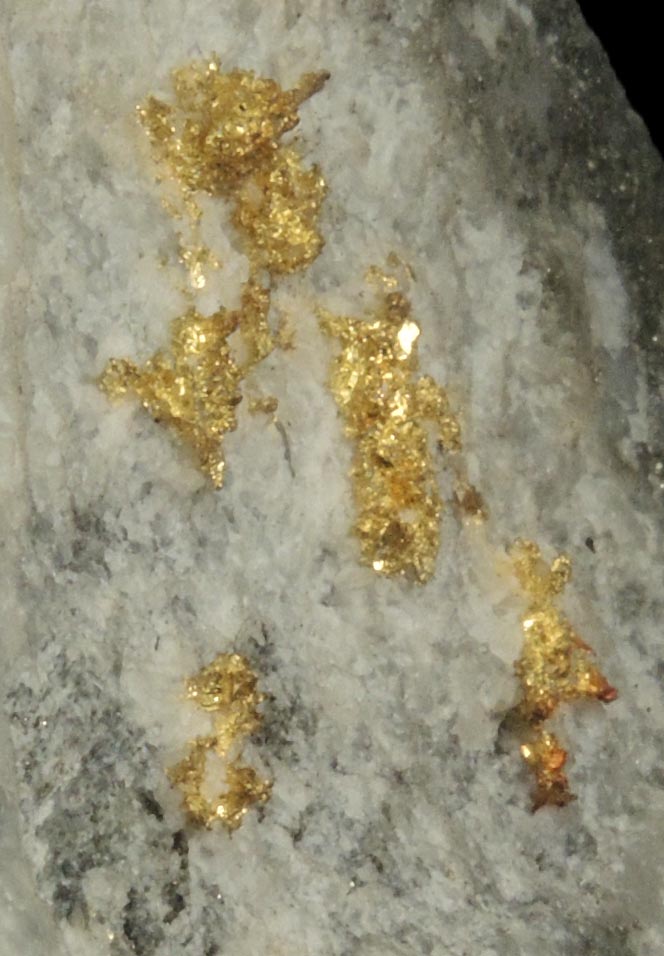 Gold in Quartz from Minera di Brusson (Chamousira), Val d'Ayas, Valle d'Aosta, Italy