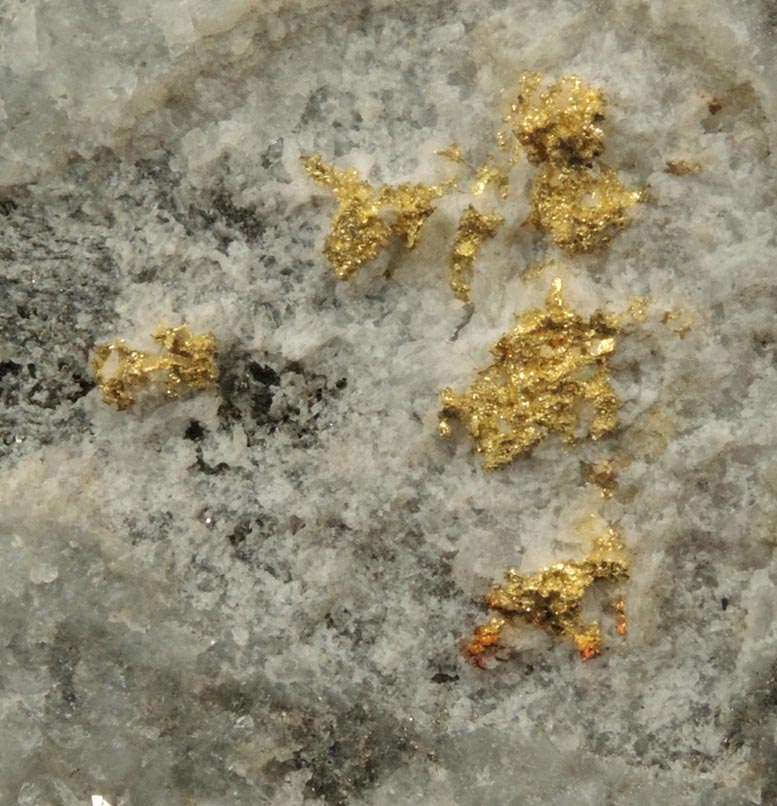 Gold in Quartz from Minera di Brusson (Chamousira), Val d'Ayas, Valle d'Aosta, Italy