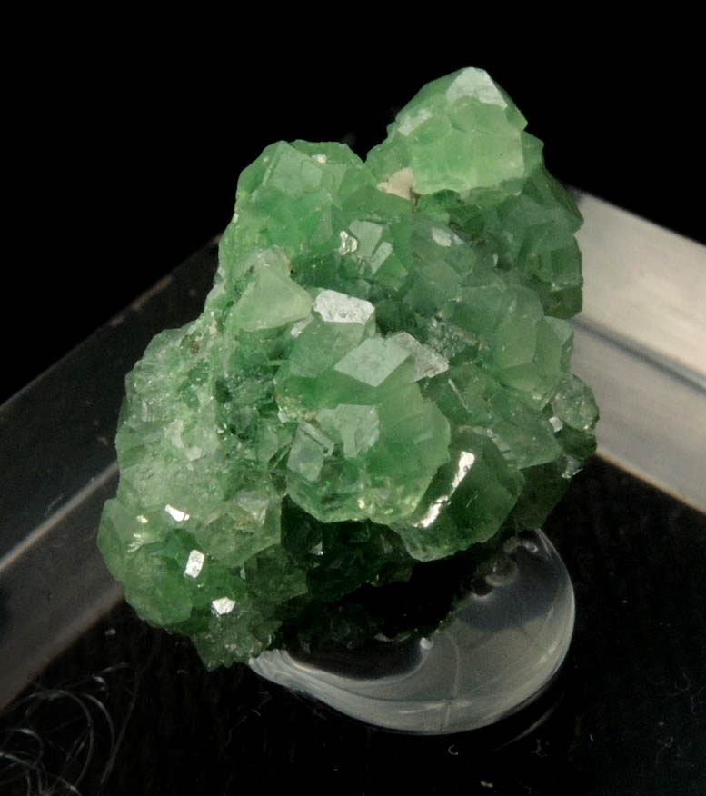 Grossular var. Chrome-rich Grossular Garnet from British Canadian Mine, Black Lake, Thetford Mines, Qubec, Canada