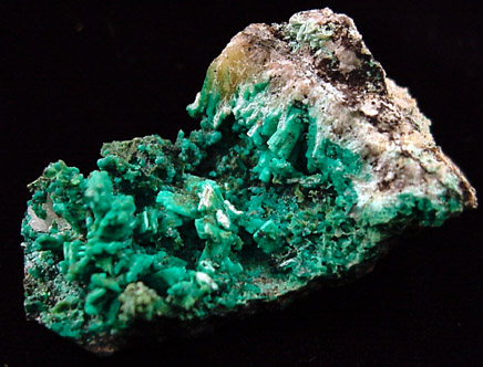 Chrysocolla pseudomorph after Aragonite from Christmas Mine, Banner District, Gila County, Arizona