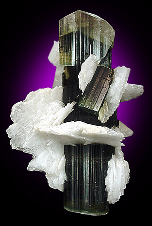 Elbaite Tourmaline in Cleavelandite from Stak Nala, Pakistan