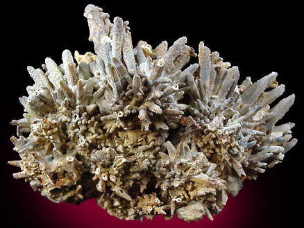 Fluorapatite on Calcite pseudomorphs from Asterillo near Mapimi, Durango, Mexico