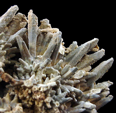 Fluorapatite on Calcite pseudomorphs from Asterillo near Mapimi, Durango, Mexico