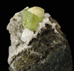 Datolite on Quartz with Calcite from Upper New Street Quarry, Paterson, Passaic County, New Jersey