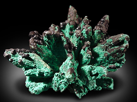 Malachite pseudomorph after Gypsum from Kennecott Mine, Ray, Arizona