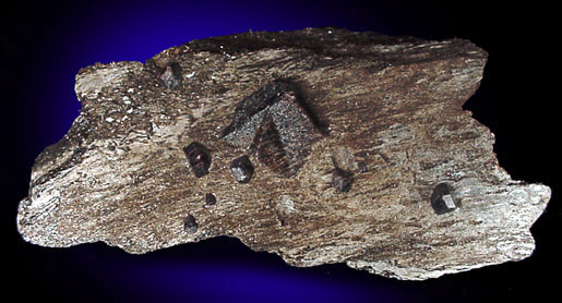 Staurolite with Almandine Garnet from Pearl Lake, Lisbon, New Hampshire