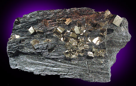 Pyrite in slate from Sherbrook, Québec, Canada