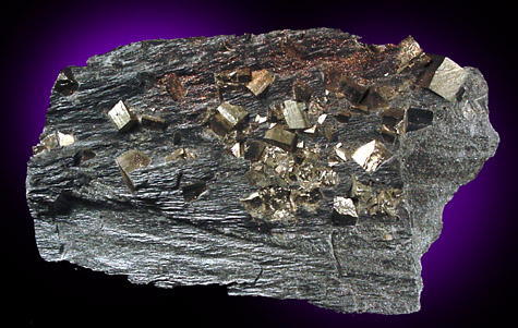 Pyrite in slate from Sherbrook, Qubec, Canada