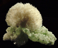 Mesolite on Prehnite from Upper New Street Quarry, Paterson, Passaic County, New Jersey