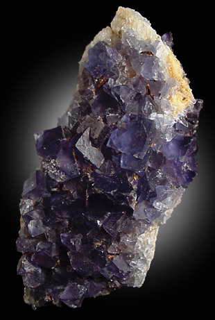 Fluorite on Quartz from Blanchard Claim, Hansonburg District, 8.5 km south of Bingham, Socorro County, New Mexico