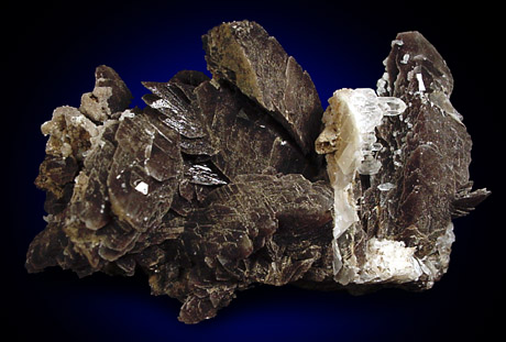 Axinite-(Fe) and Quartz from Dalnegorsk, Primorskiy Kray, Russia