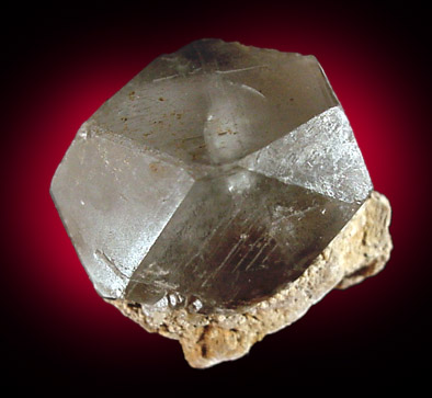 Celestine from Lometta, Lampassas County, Texas