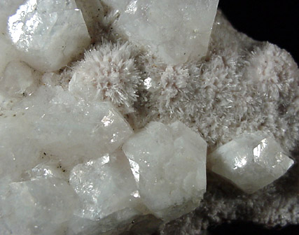 Apophyllite on Natrolite from Aussig, Czech Republic