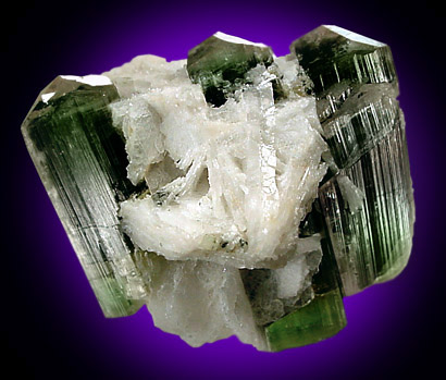 Elbaite Tourmaline in Albite var. Cleavelandite from Stak Nala, Pakistan