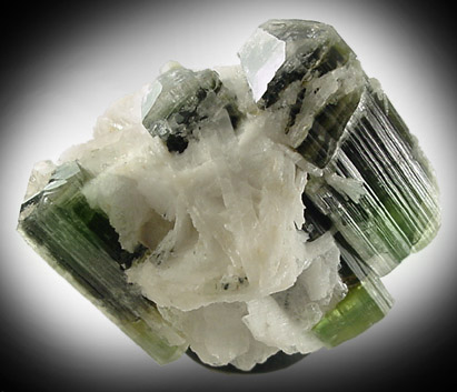 Elbaite Tourmaline in Albite var. Cleavelandite from Stak Nala, Pakistan