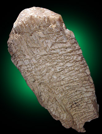 Spodumene from Strickland Quarry, Collins Hill, Portland, Middlesex County, Connecticut