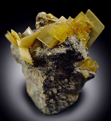 Wulfenite from 79 Mine, Banner District, near Hayden, Gila County, Arizona