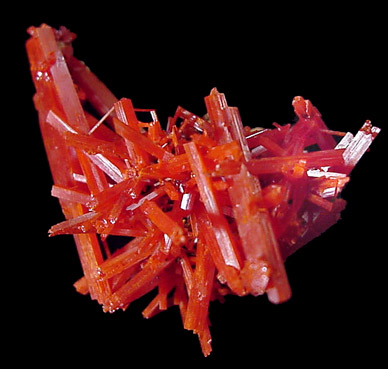 Crocoite from Red Lead Mine, Dundas, Tasmania, Australia