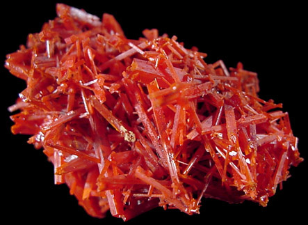 Crocoite from Red Lead Mine, Dundas, Tasmania, Australia